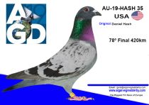 AU-19-HASH 35